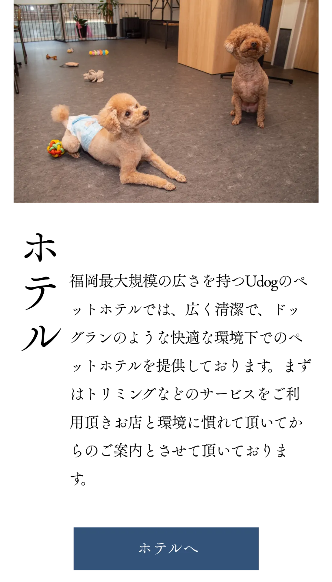 スマートフォン用の画像