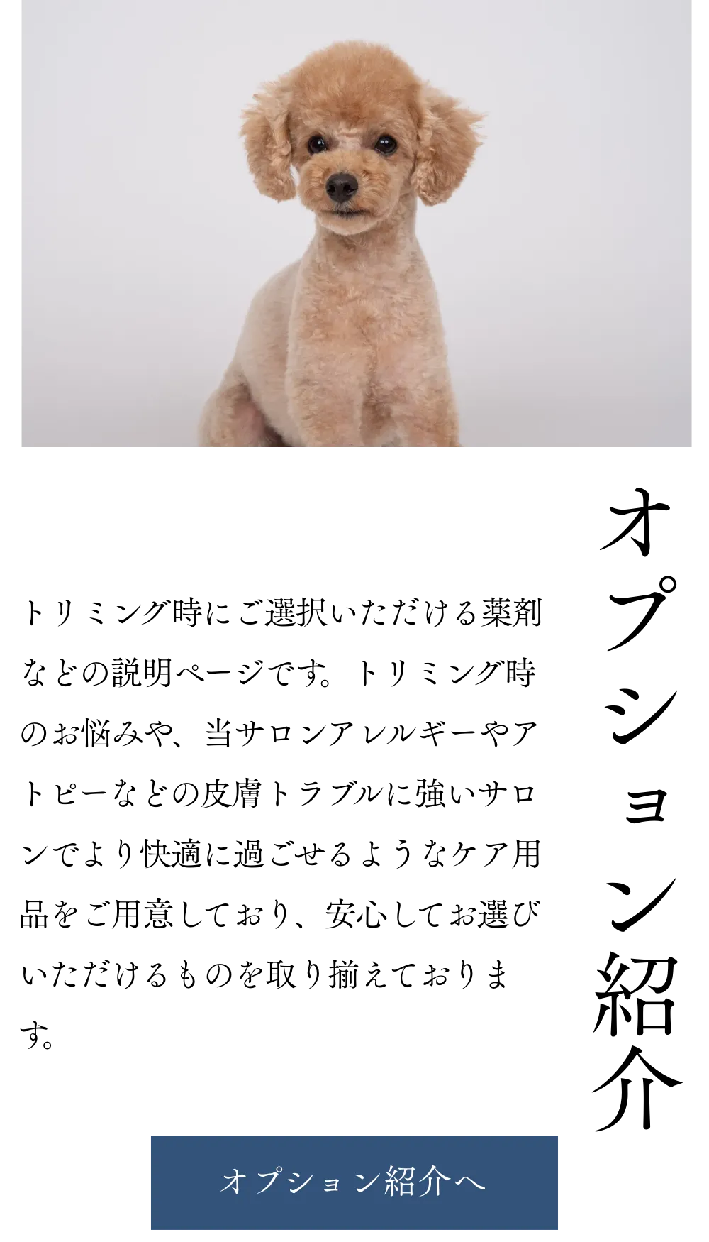 スマートフォン用の画像